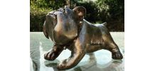 Bull Dog