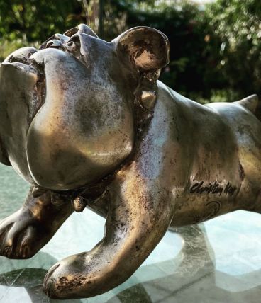 Bull Dog