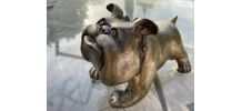 Bull Dog