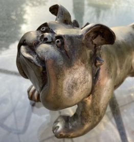 Bull Dog