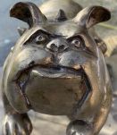 Bull Dog