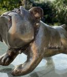 Bull Dog