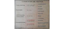 Affiche scolaire vintage 
