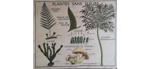 Affiche scolaire vintage 