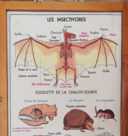 Affiche scolaire vintage MDI