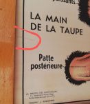 Affiche scolaire vintage MDI