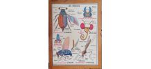 Affiche scolaire vintage MDI