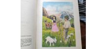 Livre Heidi ; la grotte mystèrieuse . 1979