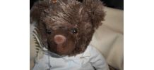 OURS GIORGIO BEVERLY HILLS MARRON 2007 COLLECTORS BEAR