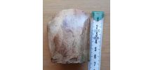 Silex