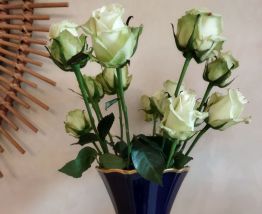 Vase limoges
