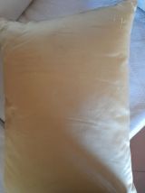 2 coussins 