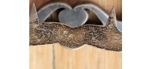 Ancienne boucle de ceinture en argent