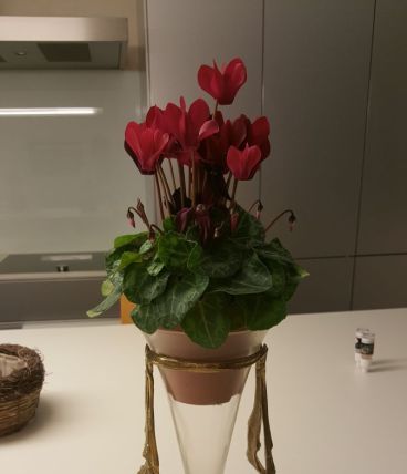 Vase