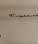 Frigidaire années 50 turquoise 