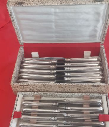 Boîte 22 couteaux Ercuis métal argenté modèle floral