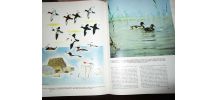 Encyclopédie du monde animal 3 VOLUMES