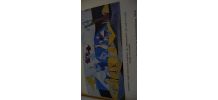 Livre d'art collection SKIRA