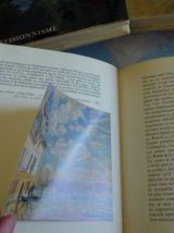 Livre d'art collection SKIRA