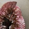 Grande corbeille - coupelle en forme de coquillage rose