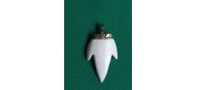Dent de requin sculpté en pendentif / collier