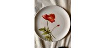 6 assiettes en porcelaine peintes à la main  "coquelicots"