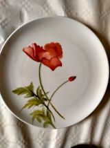 6 assiettes en porcelaine peintes à la main  "coquelicots"