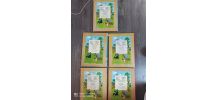 Lot de 5 BD Tintin Série B 