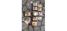 Lot revue "Mécanique Populaire"