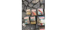 Lot revue "Mécanique Populaire"