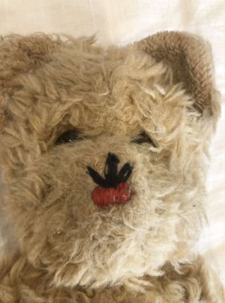 Ours en peluche ancien