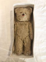 Ours en peluche ancien