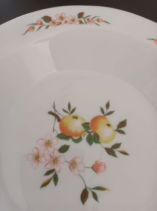 Plat creux rond arcopal