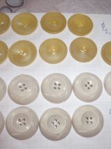 BOUTONS