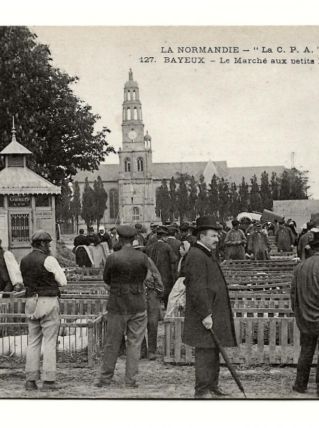 BAYEUX (14) - Le Marché aux petits Porcs