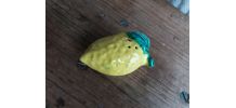 Salière poivrier citron barbotine