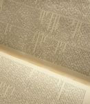 Dictionnaire Latin-Français rédigé à l'usage des classes Ch.
