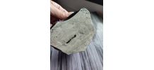 Cendrier poisson Vallauris vide poche 