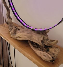 Cercle lumineux sur bois flotté