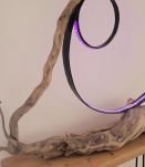 Cercle lumineux sur bois flotté