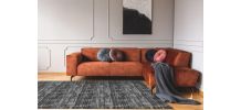 Tapis de maison moderne