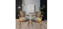 2 Fauteuils de Style Louis XV