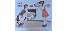 Affiche scolaire Série IM 1  5c-6c éditions MDI1973