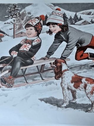 Affiche scolaire Série IM 1  11a-12a éditions MDI1973