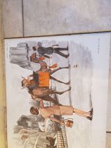 Ancien poster pédagogique Nid- Zoo