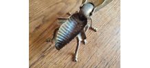 Cendrier mouche vintage en metal doré 