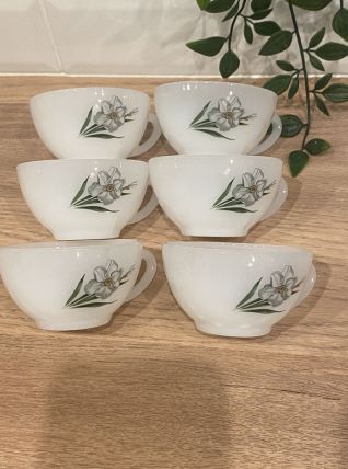 Set de 6 tasses arcopal "Narcisse"