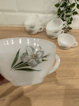 Set de 6 tasses arcopal "Narcisse"