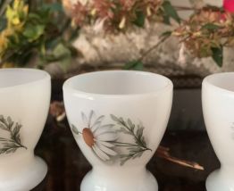 4 Coquetiers Arcopal Marguerites