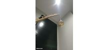 Lampe en bois faite main Ampoule type Edison